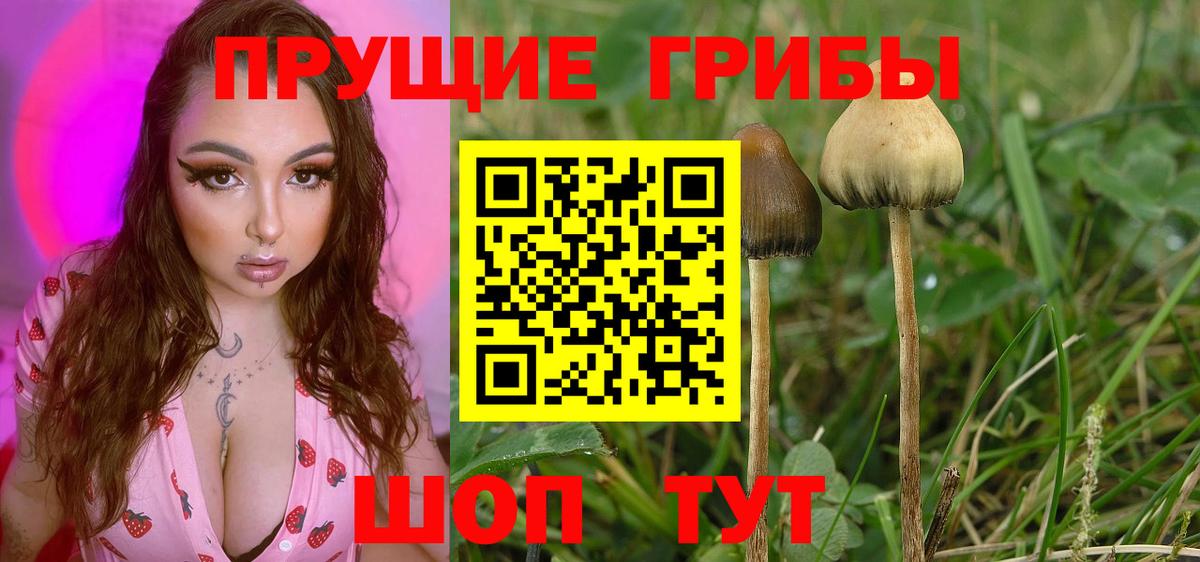 Псилоцибиновые грибы MAGIC MUSHROOMS  Вход с VPN  Галлюциногенные грибы ЛСД  Кировск 